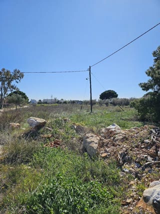Οικόπεδο 2880τ.μ.