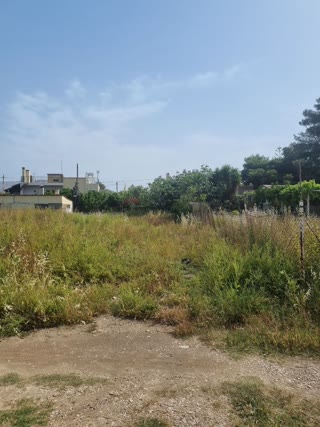 Οικόπεδο 500τ.μ.