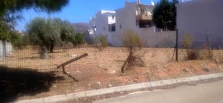 Οικόπεδο 805 τ.μ.