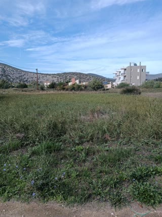Участок 351 м²