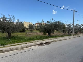 Οικόπεδο 960τ.μ.