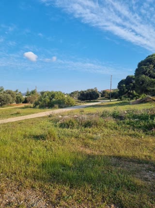 9200 m² Plot