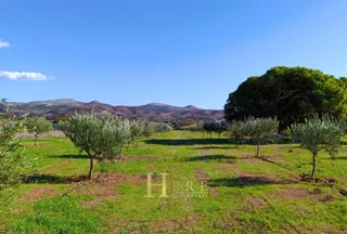 Αγροτεμάχιο 20000τ.μ.