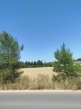 Οικόπεδο 15500τ.μ.