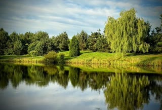 🌿 Продаж земельної ділянки під відпочинковий комплекс біля Трускавця
