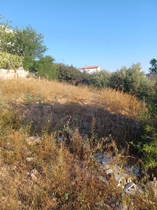 Οικόπεδο 290 τ.μ.