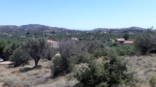 Οικόπεδο 5000 τ.μ.