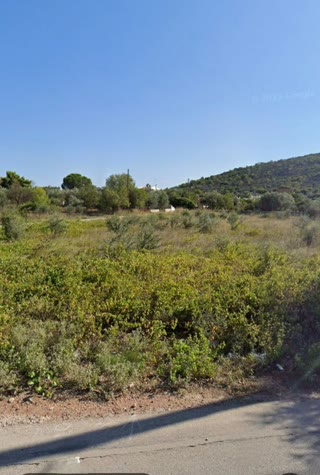 Αγροτεμάχιο 590τ.μ.