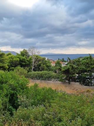 Οικόπεδο 800τ.μ.