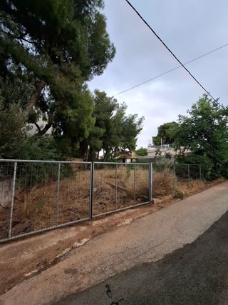 270 m² Plot