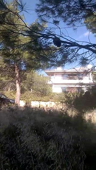 Οικόπεδο 1013 τ.μ.