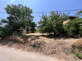 705 m² Plot