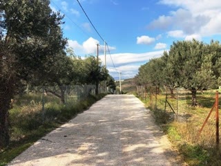 Αγροτεμάχιο 10765 τ.μ.