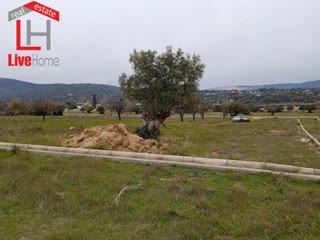Οικόπεδο 644τ.μ.