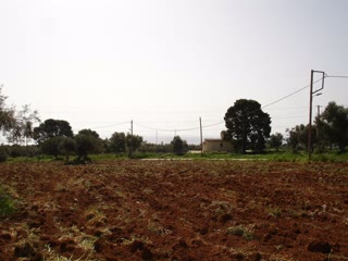 Αγροτεμάχιο 2250τ.μ.