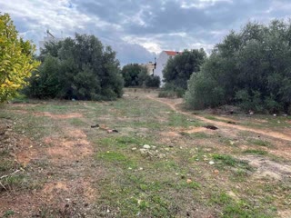 1500 τ.μ. Οικόπεδο