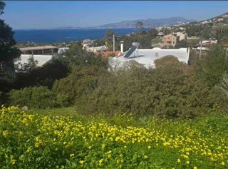 Οικόπεδο 365τ.μ.