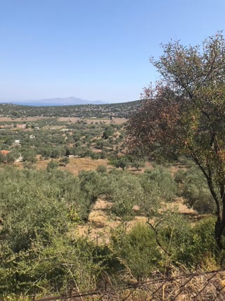 Οικόπεδο 5348 τ.μ.