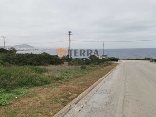 Οικόπεδο 900τ.μ.