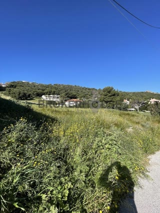 Οικόπεδο 605 τ.μ.