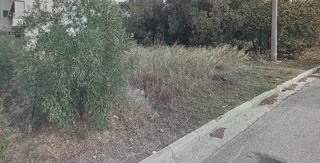 Αγροτεμάχιο 18650τ.μ.