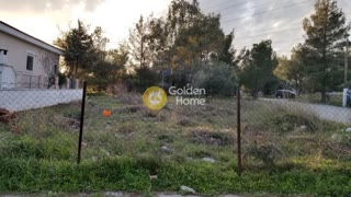 Οικόπεδο 335τ.μ.