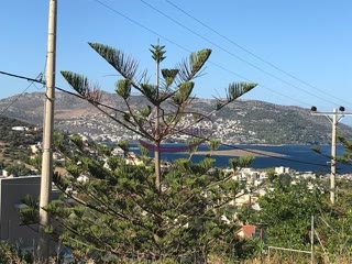 Οικόπεδο 303 τ.μ.