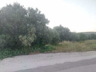 Αγροτεμάχιο 2000 τ.μ.