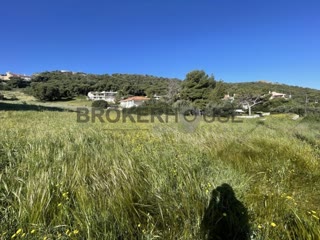 Οικόπεδο 605 τ.μ.