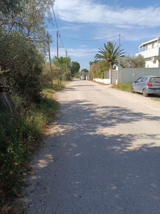 6200 m² Plot