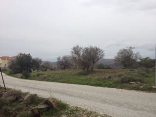 Αγροτεμάχιο 13000 τ.μ.