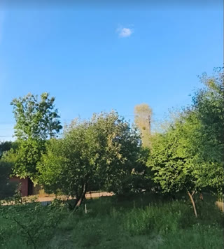Продаж будинку в Рясному біля лісу