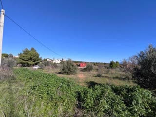 Αγροτεμάχιο 1234 τ.μ.