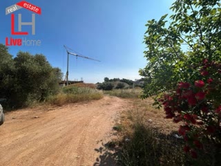 Οικόπεδο 1829 τ.μ.