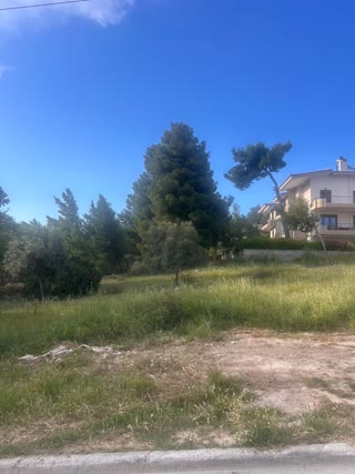 Οικόπεδο 517τ.μ.