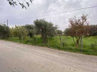 Οικόπεδο 913 τ.μ.