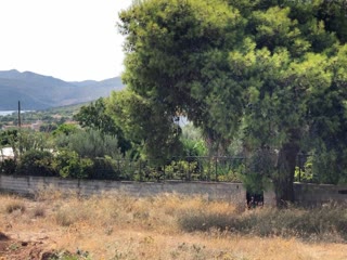 Οικόπεδο 7500 τ.μ.