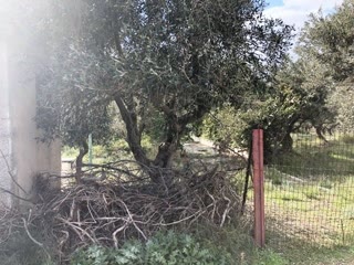 Αγροτεμάχιο 10765 τ.μ.