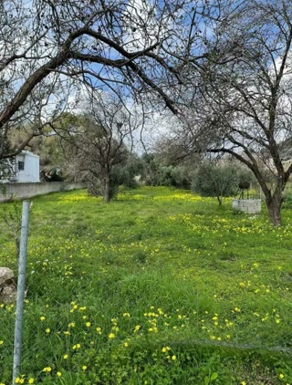 Οικόπεδο 1180τ.μ.