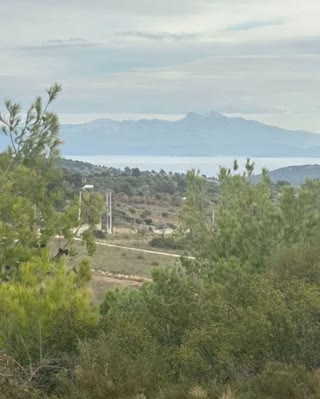Οικόπεδο 5500 τ.μ.