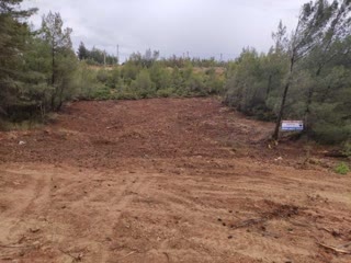 Οικόπεδο 1005 τ.μ.