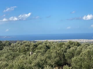 Μονοκατοικία 330τ.μ.