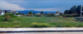 Οικόπεδο 1029 τ.μ.