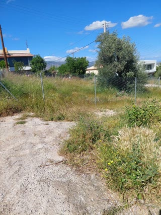 Οικόπεδο 227τ.μ.