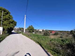 Αγροτεμάχιο 1234 τ.μ.