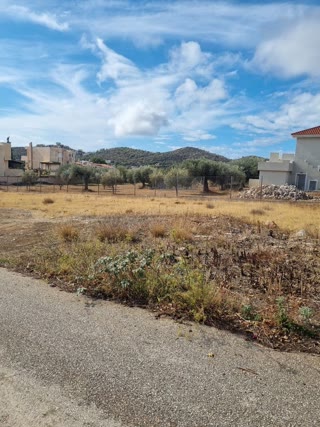 Αγροτεμάχιο 1707 τ.μ.