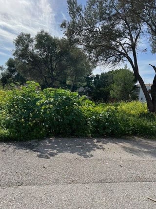Οικόπεδο 786 τ.μ.