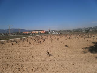 Участок, 16000 м²