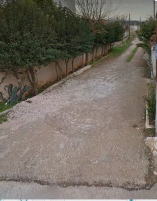 Οικόπεδο 232τ.μ.