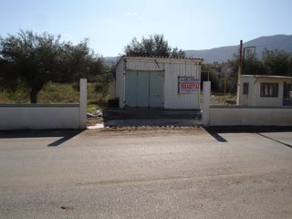 Αγροτεμάχιο 4430τ.μ.